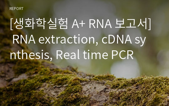 [생화학실험 A+ RNA 보고서] RNA extraction, cDNA synthesis, Real time PCR