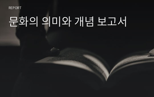 문화의 의미와 개념 보고서