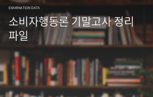 소비자행동론 기말고사 정리 파일