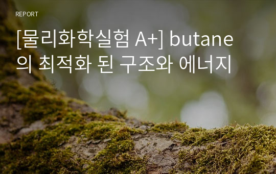 [물리화학실험 A+] butane의 최적화 된 구조와 에너지