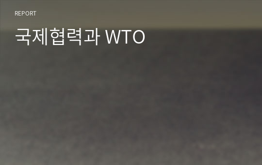 국제협력과 WTO