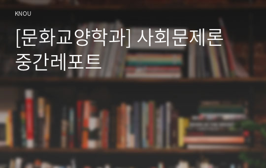 [문화교양학과] 사회문제론 중간레포트