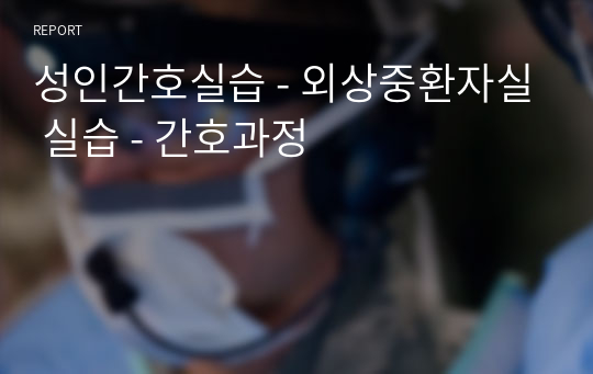 성인간호실습 - 외상중환자실 실습 - 간호과정