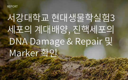 서강대학교 현대생물학실험3 세포의 계대배양, 진핵세포의 DNA Damage &amp; Repair 및 Marker 확인