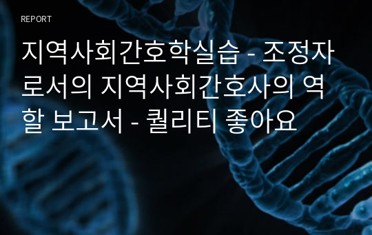 지역사회간호학실습 - 조정자로서의 지역사회간호사의 역할 보고서 - 퀄리티 좋아요