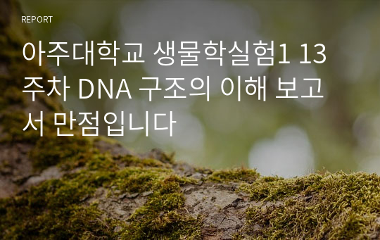 아주대학교 생물학실험1 13주차 DNA 구조의 이해 보고서 만점입니다