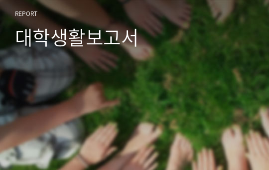 대학생활보고서