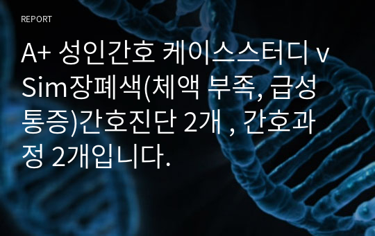 A+ 성인간호 케이스스터디 vSim장폐색(체액 부족, 급성통증)간호진단 2개 , 간호과정 2개입니다.