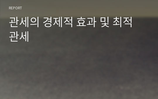 관세의 경제적 효과 및 최적관세