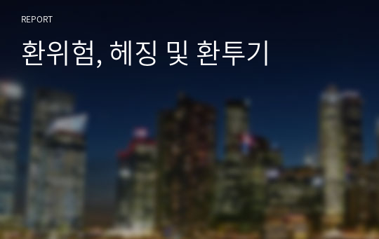 환위험, 헤징 및 환투기