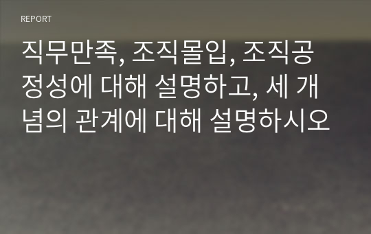 직무만족, 조직몰입, 조직공정성에 대해 설명하고, 세 개념의 관계에 대해 설명하시오