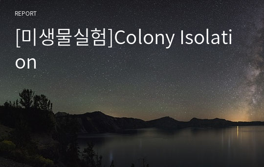 [미생물실험]Colony Isolation