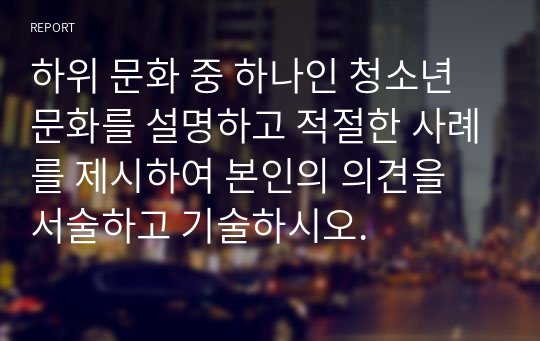 하위 문화 중 하나인 청소년 문화를 설명하고 적절한 사례를 제시하여 본인의 의견을 서술하고 기술하시오.