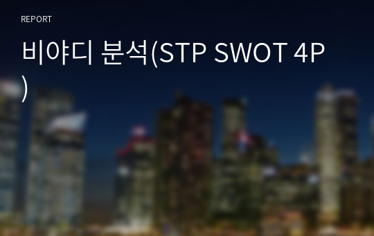 비야디 분석(STP SWOT 4P)