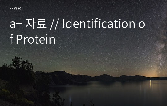 a+ 자료 // Identification of Protein