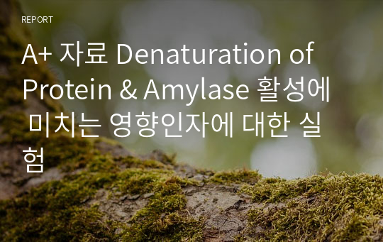A+ 자료 Denaturation of Protein &amp; Amylase 활성에 미치는 영향인자에 대한 실험