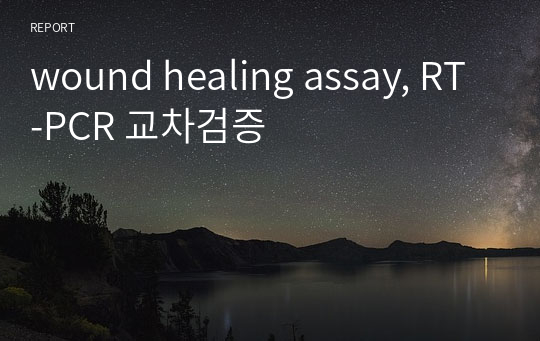 wound healing assay, RT-PCR 교차검증
