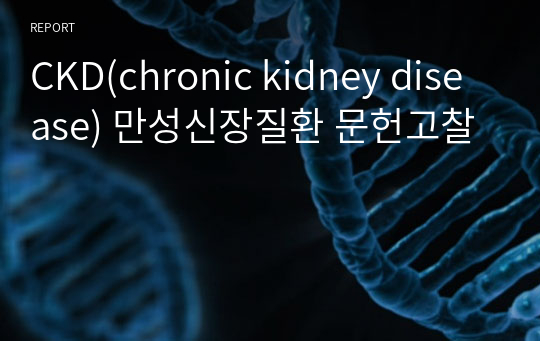 CKD(chronic kidney disease) 만성신장질환 문헌고찰
