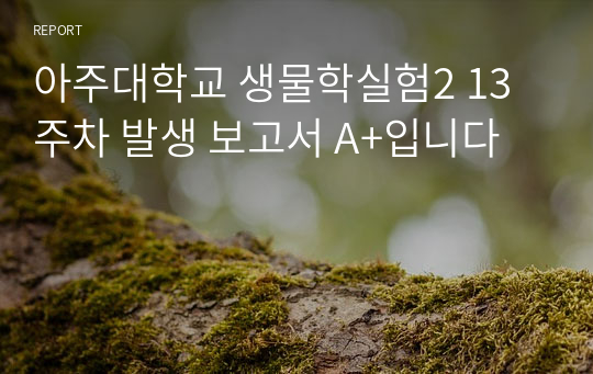 아주대학교 생물학실험2 13주차 발생 보고서 A+입니다