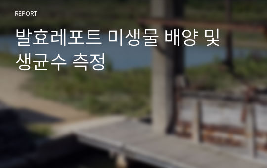 발효레포트 미생물 배양 및 생균수 측정