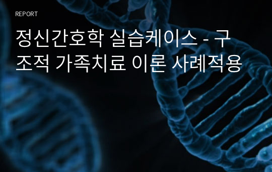 정신간호학 실습케이스 - 구조적 가족치료 이론 사례적용