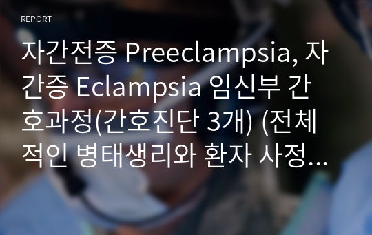 자간전증 Preeclampsia, 자간증 Eclampsia 임신부 간호과정(간호진단 3개) (전체적인 병태생리와 환자 사정 포함X)
