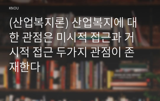 (산업복지론) 산업복지에 대한 관점은 미시적 접근과 거시적 접근 두가지 관점이 존재한다