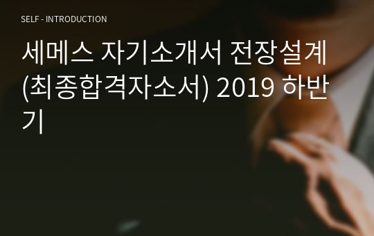 세메스 자기소개서 전장설계 (최종합격자소서) 2019 하반기