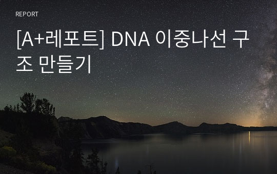 [A+레포트] DNA 이중나선 구조 만들기