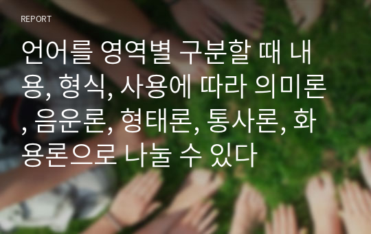 언어를 영역별 구분할 때 내용, 형식, 사용에 따라 의미론, 음운론, 형태론, 통사론, 화용론으로 나눌 수 있다