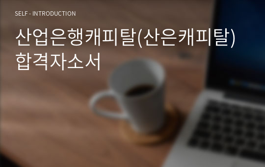 산업은행캐피탈(산은캐피탈) 합격자소서