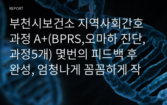 부천시보건소 지역사회간호과정 A+(BPRS,오마하 진단,과정5개) 몇번의 피드백 후 완성, 엄청나게 꼼꼼하게 작성