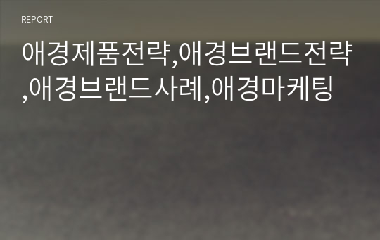 애경제품전략,애경브랜드전략,애경브랜드사례,애경마케팅