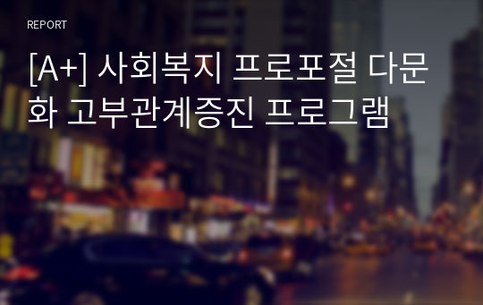 [A+] 사회복지 프로포절 다문화 고부관계증진 프로그램