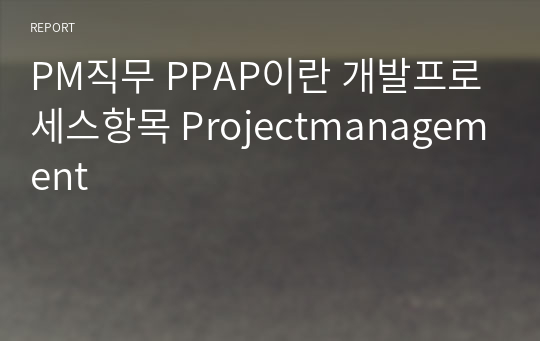 PM직무 PPAP이란 개발프로세스항목 Projectmanagement