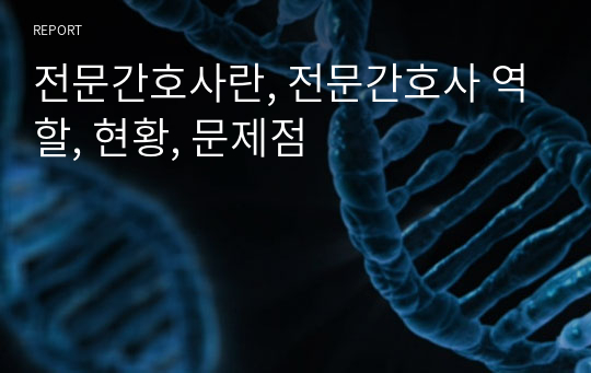 전문간호사란, 전문간호사 역할, 현황, 문제점