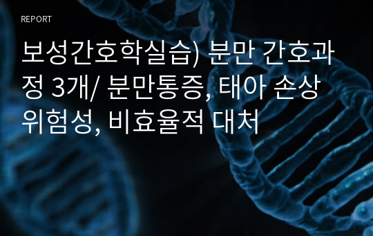 보성간호학실습) 분만 간호과정 3개/ 분만통증, 태아 손상 위험성, 비효율적 대처