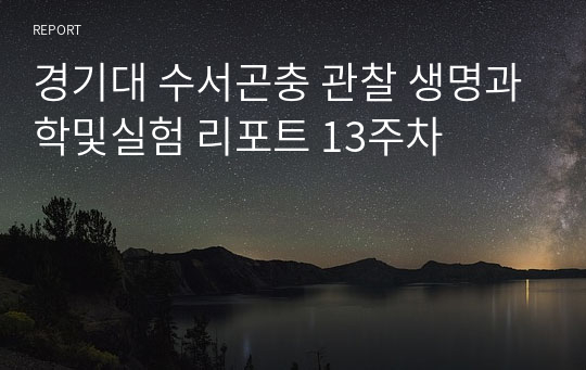 경기대 수서곤충 관찰 생명과학및실험 리포트 13주차