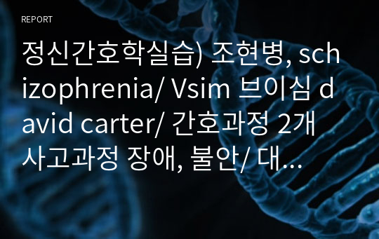 정신간호학실습) 조현병, schizophrenia/ Vsim 브이심 david carter/ 간호과정 2개 사고과정 장애, 불안/ 대상자 사정 MMSE/