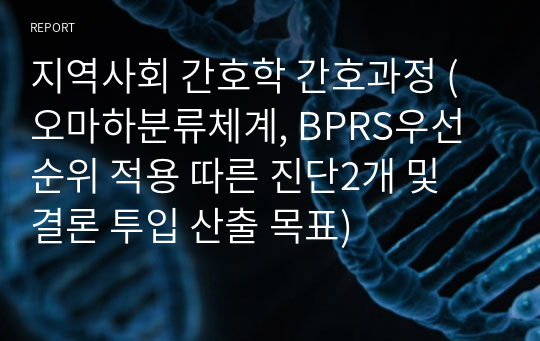 지역사회 간호학 간호과정 (오마하분류체계, BPRS우선순위 적용 따른 진단2개 및 결론 투입 산출 목표)