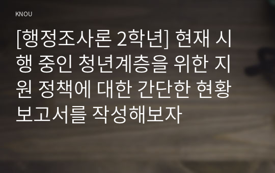 [행정조사론 2학년] 현재 시행 중인 청년계층을 위한 지원 정책에 대한 간단한 현황보고서를 작성해보자