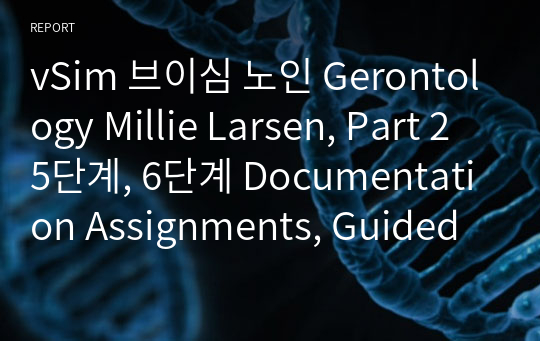 vSim 브이심 노인 Gerontology Millie Larsen, Part 2 5단계, 6단계 Documentation Assignments, Guided Reflection Questions