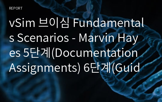 vSim 브이심 Fundamentals Scenarios - Marvin Hayes 5단계(Documentation Assignments) 6단계(Guided Reflection Questions)