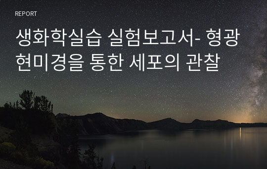 생화학실습 실험보고서- 형광현미경을 통한 세포의 관찰