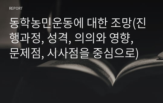 동학농민운동에 대한 조망(진행과정, 성격, 의의와 영향, 문제점, 시사점을 중심으로)