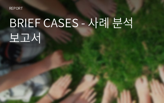 BRIEF CASES - 사례 분석 보고서