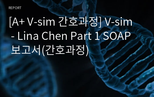 [A+ V-sim 간호과정] V-sim - Lina Chen Part 1 SOAP 보고서(간호과정)