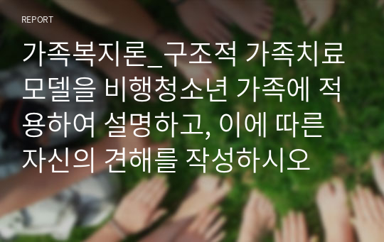 가족복지론_구조적 가족치료 모델을 비행청소년 가족에 적용하여 설명하고, 이에 따른 자신의 견해를 작성하시오