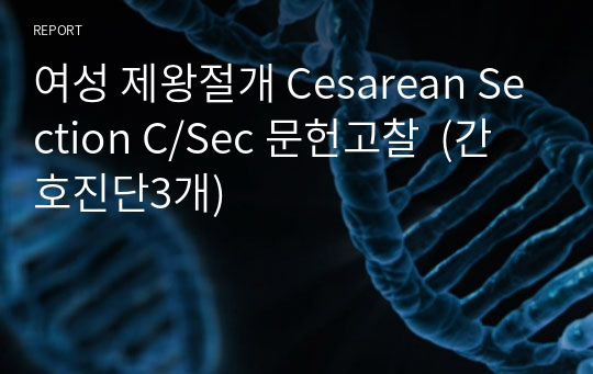 여성 제왕절개 Cesarean Section C/Sec 문헌고찰  (간호진단3개)