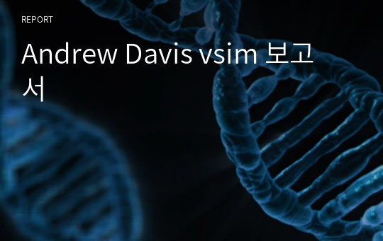 Andrew Davis vsim 보고서